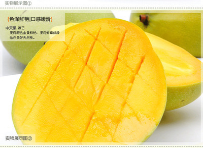 海南澳芒 熱帶陽光的黃金饋贈，美容養顏的自然密碼